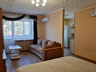 Апартаменты Lux Apartment on Potanina 19 Усть-Каменогорск Апартаменты с 1 спальней-2
